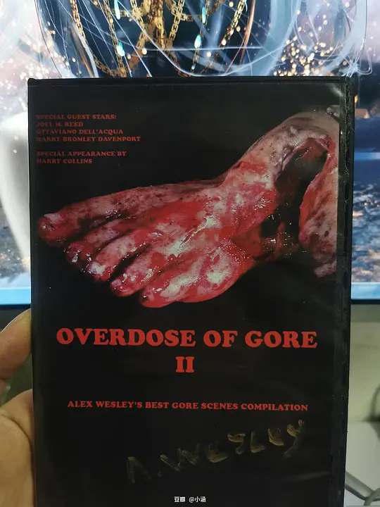 Overdose of Gore II电影高清1080P在线观看