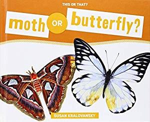 Butterfly zone - Il senso della farfalla电影未删减版