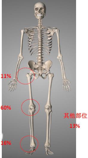 Tumors 2免费高清完整