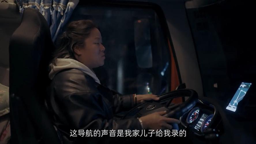 《卡车司机之恋电影》免费在线观看