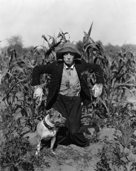 Buster Keaton and Fatty Roscoe Arbuckle电影经典台词