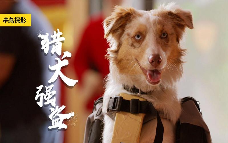 《猎犬电影》免费在线观看