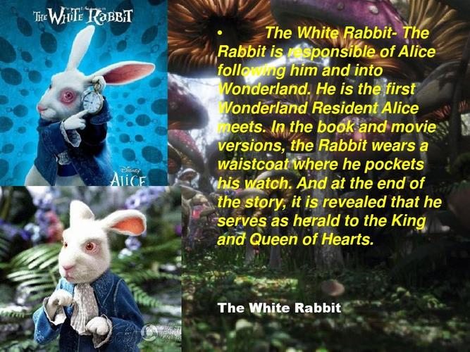 Inside The Clock Of The White Rabbit免费在线观看高清版