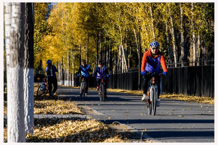 《自転車は秋の底》高清免费播放