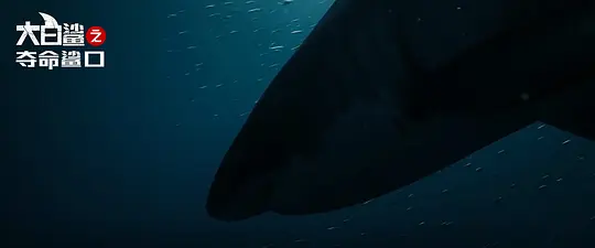 大白鲨之夺命鲨口手机在线电影免费
