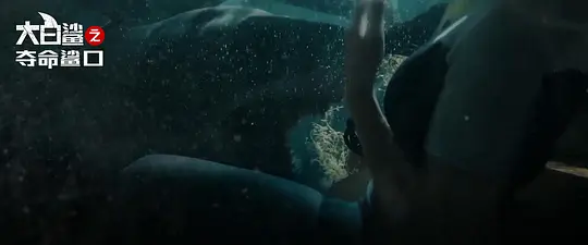 大白鲨之夺命鲨口电影镜头分析