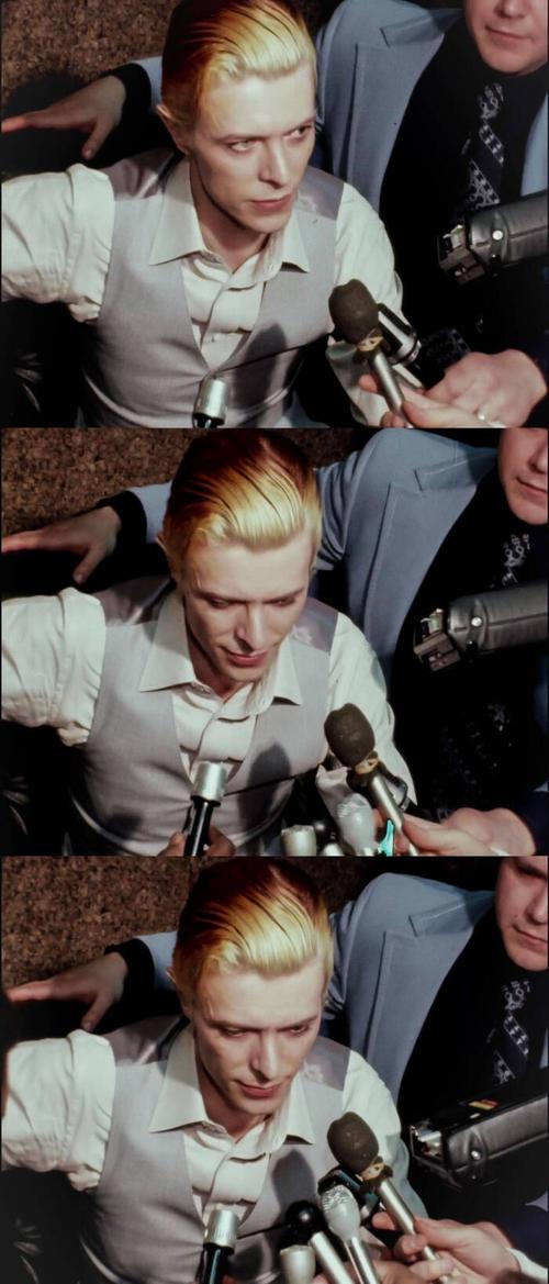 David Bowie: Strangers When We Meet全集手机免费观看