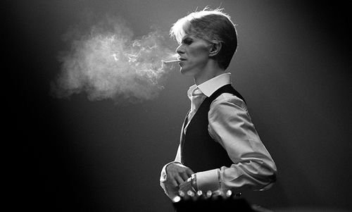 David Bowie: Day in Day Out手机在线电影免费