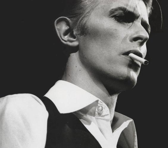David Bowie: Loving the Alien全集手机在线观看高清免费版