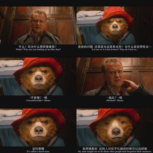 帕丁顿：熊背后的人电影经典台词