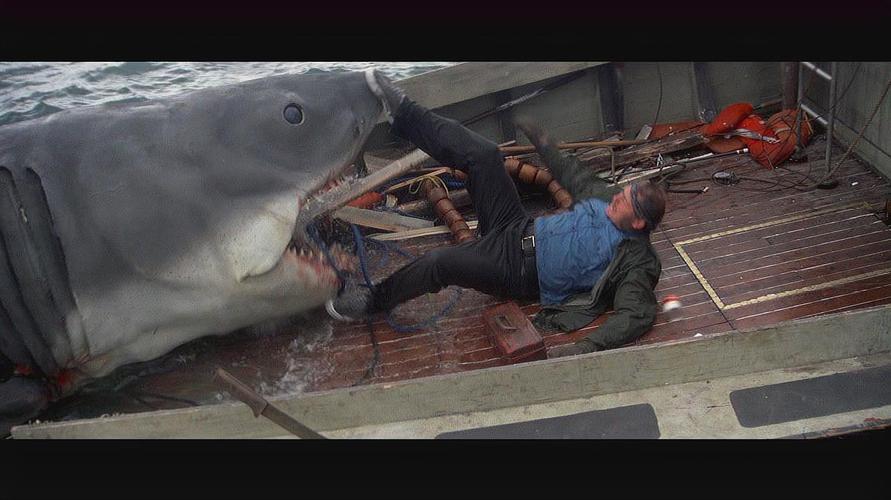 《洛杉矶大白鲨》未删减版免费播放