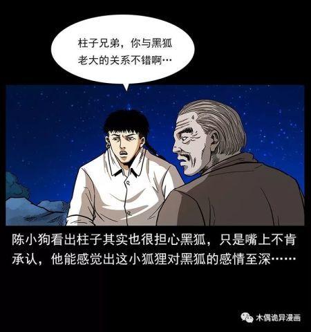 黑狐斗破天机高清完整版免费在线观看