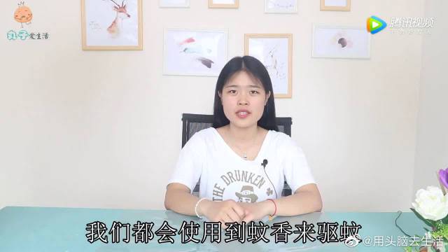 清理头脑全集手机在线观看高清免费版