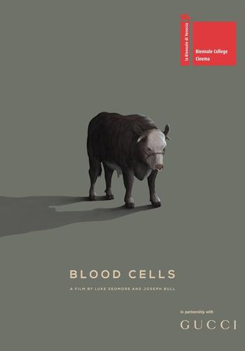 血细胞全集播放高清免费版