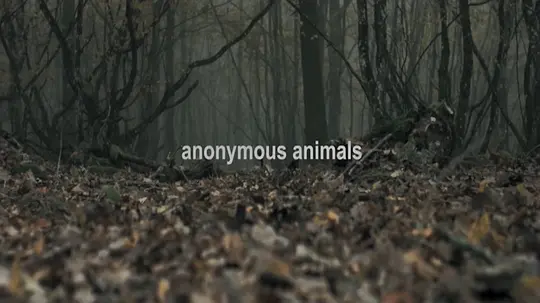 匿名动物免费观看超清
