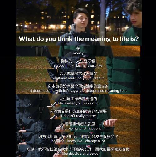 《The Meaning Of Life》电影免费在线观看高清完整版