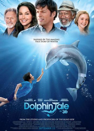 Dolphin Moves电影免费版高清在线观看