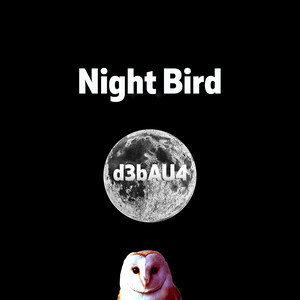 The Night Bird深度解析
