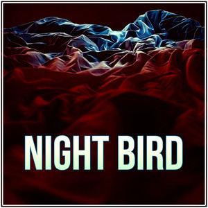 The Night Bird电影高清下载