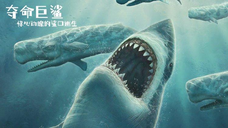 夺命巨鲨免费观看流畅