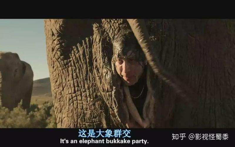 大象电影完整版视频在线观看