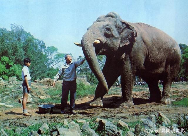 大象电影国语版精彩集锦在线观看