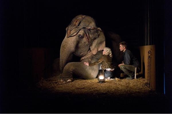 电影《大象》免费在线观看