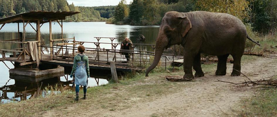大象免费在线观看高清版