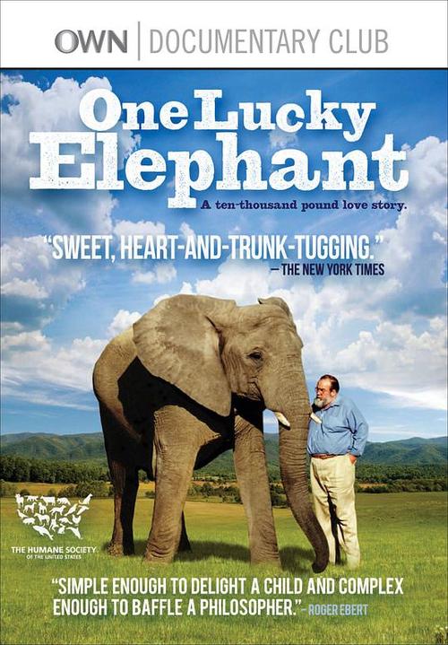 《大象》高清免费播放