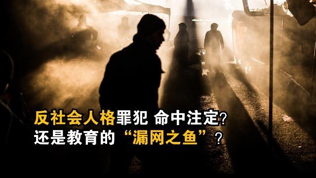 反社会网络集免费观看在线