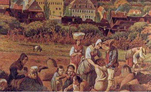 中世纪的英格兰：农民起义高清视频在线观看