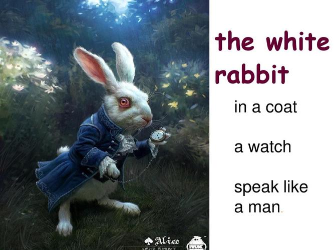 电影《The House That Eats the Rabbit》完整版手机在线观看