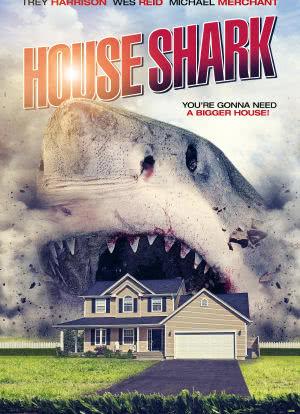 Amityville Shark House 在线播放