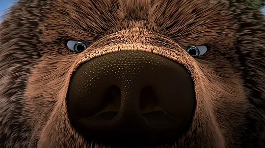《森林里的熊先生》在线观看无删减