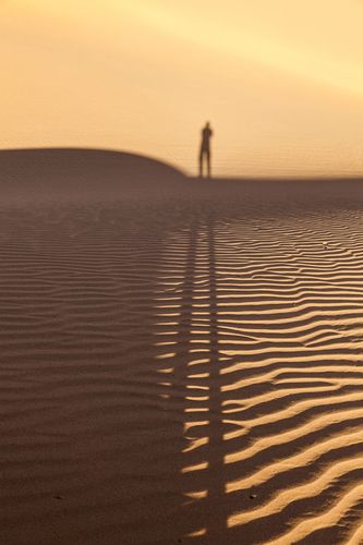 沙漠阴影深度解析