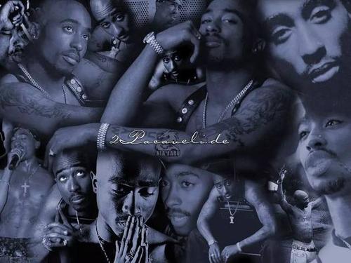 The Life and Death of Tupac Shakur手机在线观看