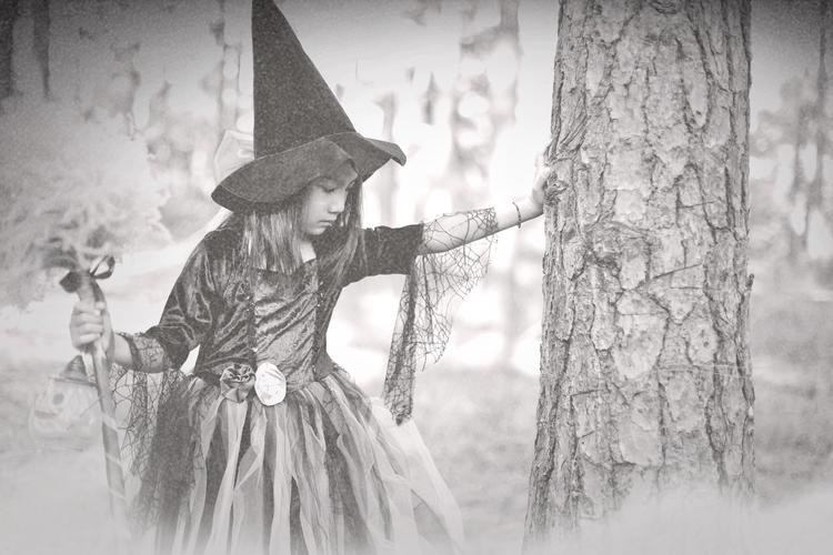 森林女巫免费完整版在线