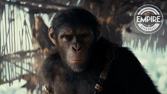 《猩球崛起4：新世界》电影免费在线观看高清完整版
