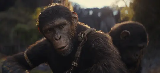 《猩球崛起4：新世界电影》BD高清免费在线观看