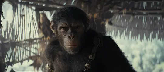 猩球崛起4：新世界电影高清1080P在线观看