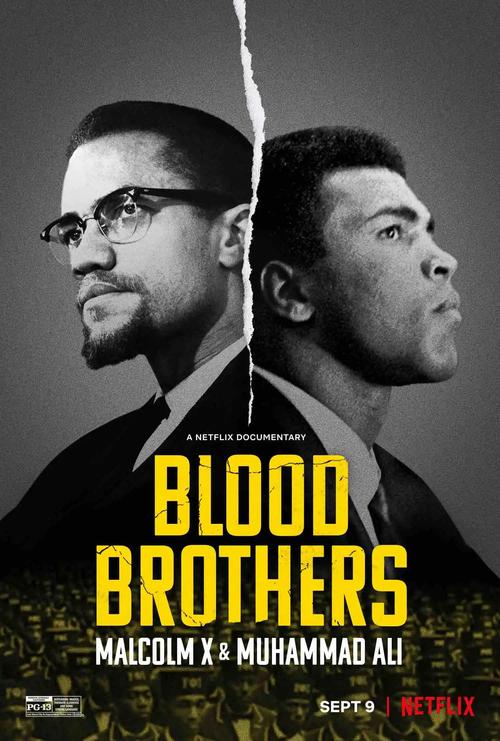 Blood Brothers: Life Harvest免费大电影