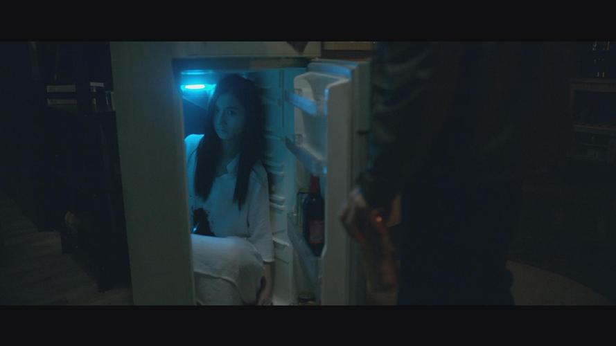 《冰箱里的女人电影》BD高清免费在线观看