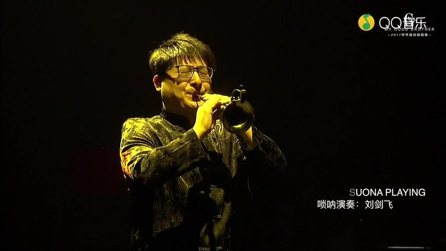 高进“我的好兄弟”巡回演唱会2017年北京站高清手机在线观看