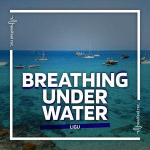 A Guide to Breathing Underwater免费观看超清