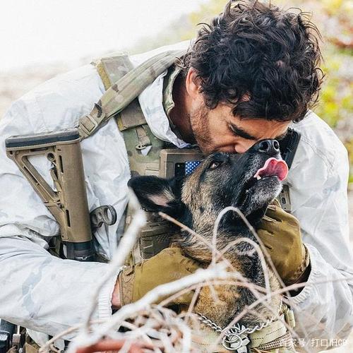 地狱犬电影免费版高清在线观看