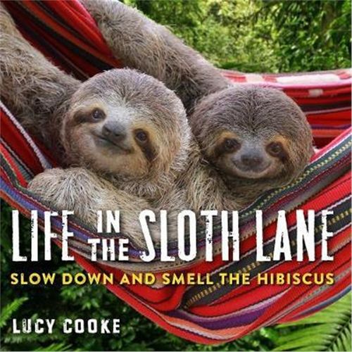 The Sloth Lane完整视频