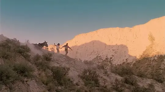《大峡谷遗宝》电影免费在线观看高清完整版