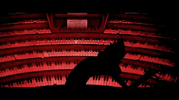 猫咪钢琴电影国语版精彩集锦在线观看