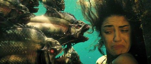 超级食人鱼电影完整版视频在线观看