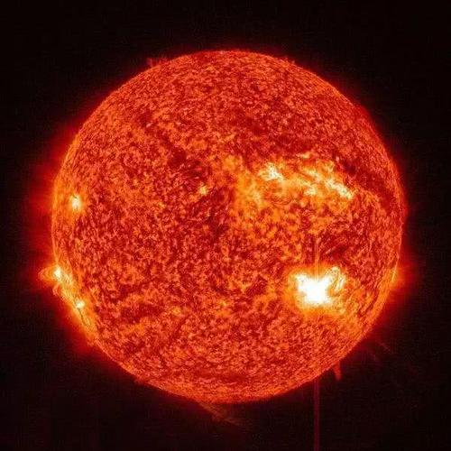 天文学家的太阳免费观看